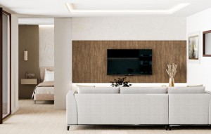 Nouvelle construction - Villa - Pinoso