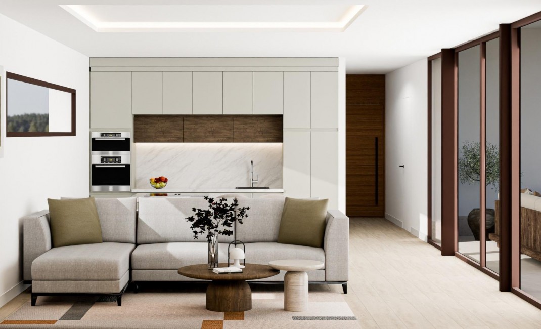 Nouvelle construction - Villa - Pinoso