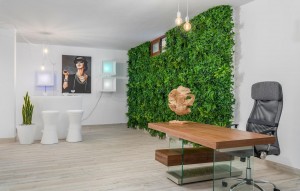 Nouvelle construction - Villa - Vera