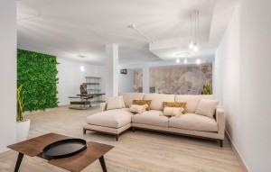Nouvelle construction - Villa - Vera