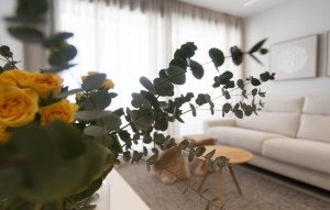 Nouvelle construction - Apartement - Denia