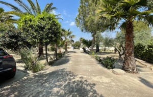 Sale - Detached Villa - El Rebolledo
