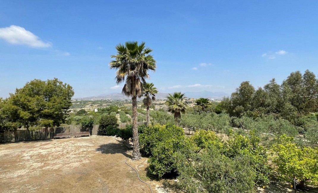 Sale - Detached Villa - El Rebolledo