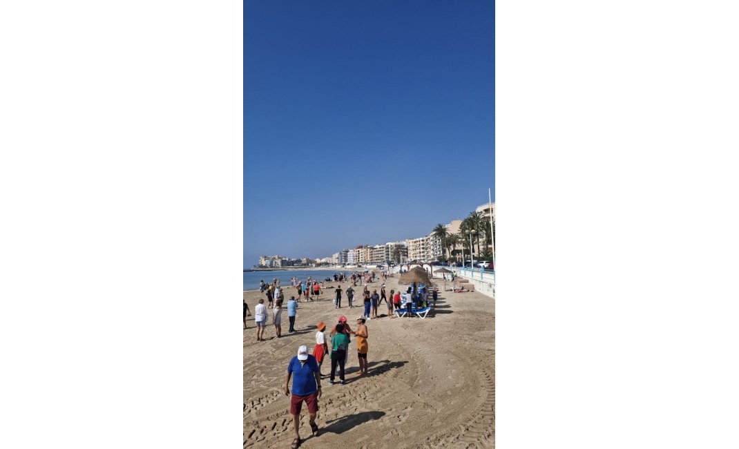 Revente - Apartament / Duplex - Torrevieja - Playa de los locos