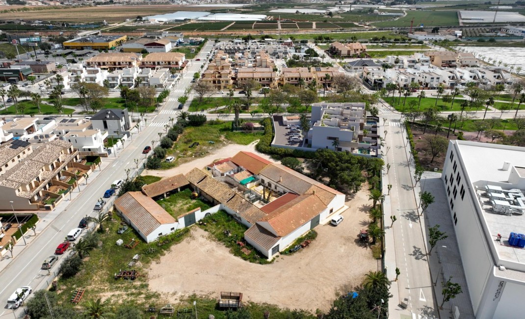 Nouvelle construction - Appartement - Pilar de la Horadada - PILAR DE LA HORADADA