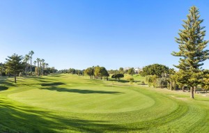 Nouvelle construction - Ground floor apartment - Orihuela Costa