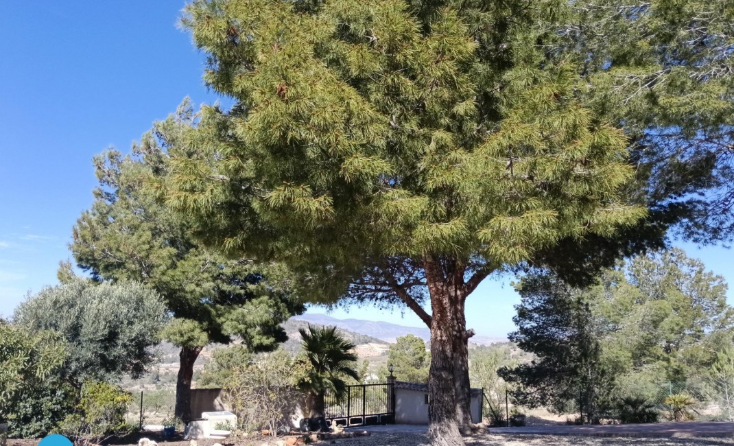 Revente - Villa - Abanilla