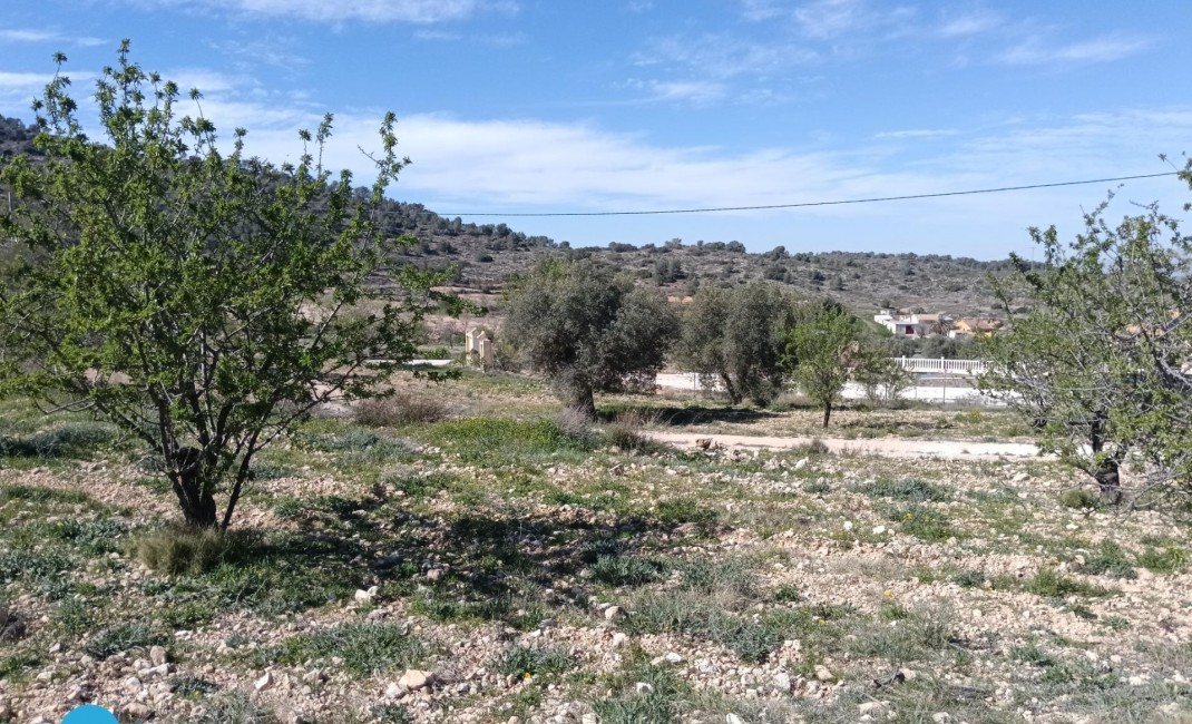 Revente - Villa - Abanilla