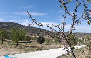 Revente - Villa - Abanilla