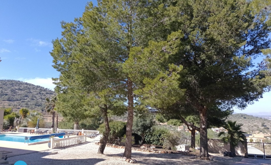 Revente - Villa - Abanilla