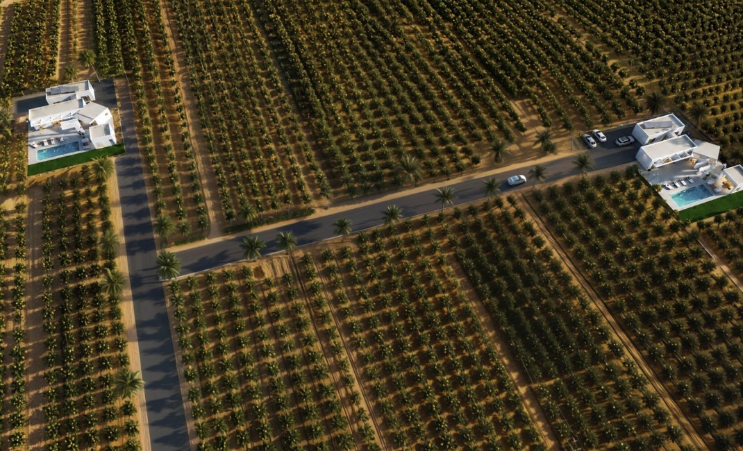 New Build - Villa - Benejúzar