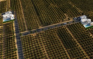 New Build - Villa - Benejúzar