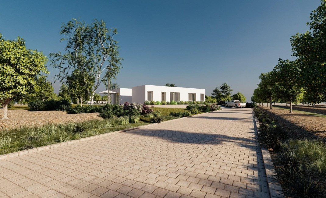 New Build - Villa - Benejúzar
