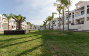 New Build - Apartment - Torrevieja