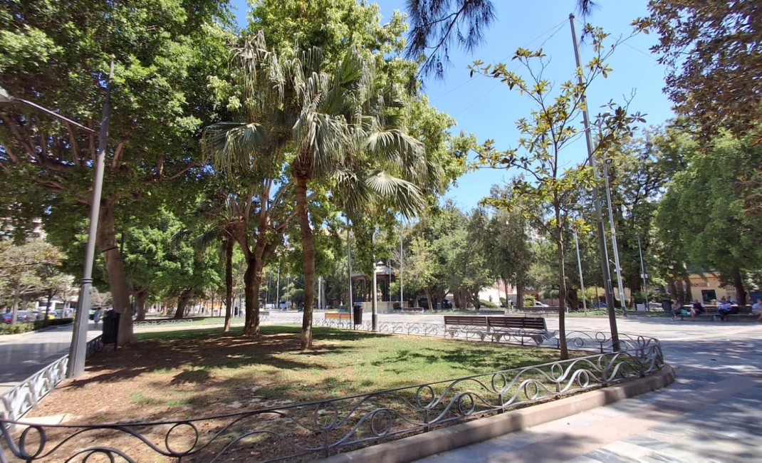 Revente - Apartament / Duplex - Orihuela - Zona Centro