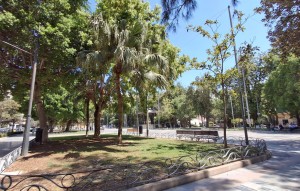 Revente - Apartament / Duplex - Orihuela - Zona Centro