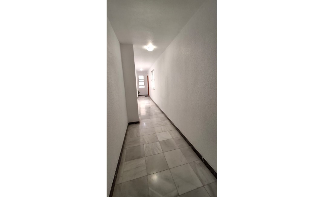 Revente - Apartament / Duplex - Orihuela - Zona Centro