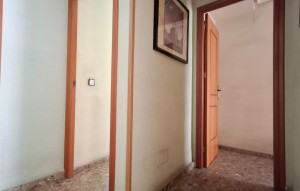 Revente - Apartament / Duplex - Orihuela - Zona Centro