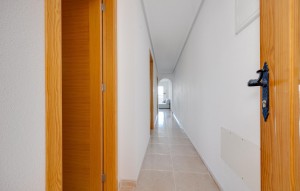 Nouvelle construction - Ground floor apartment - San Fulgencio