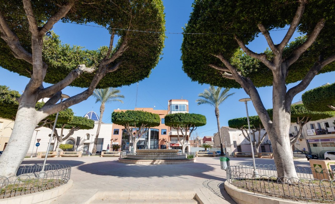 Nouvelle construction - Ground floor apartment - San Fulgencio