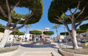 Nouvelle construction - Ground floor apartment - San Fulgencio