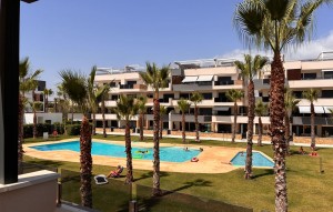 Sale - Apartment - Los Altos