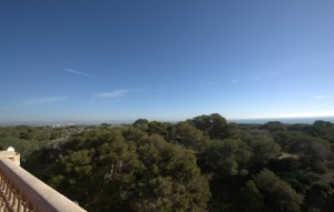 New Build - Apartment - Guardamar del Segura - guardamar del segura