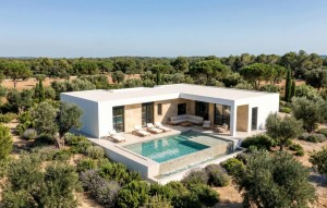 Nouvelle construction - Villa - Pinoso