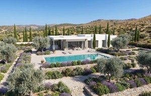 New Build - Villa - Pinoso