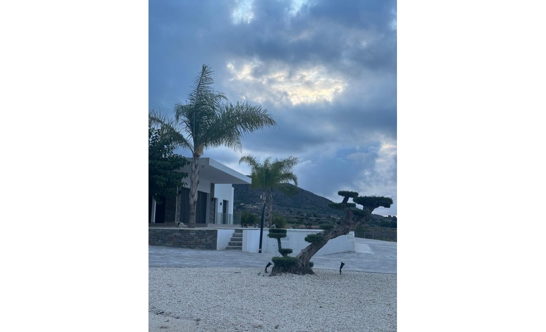 New Build - Villa - Pinoso