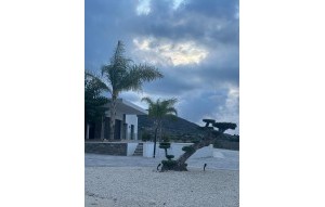 New Build - Villa - Pinoso