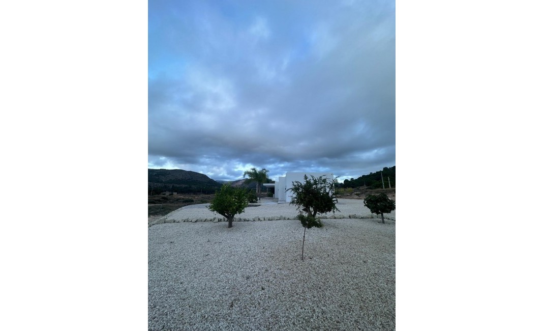 New Build - Villa - Pinoso