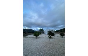 New Build - Villa - Pinoso