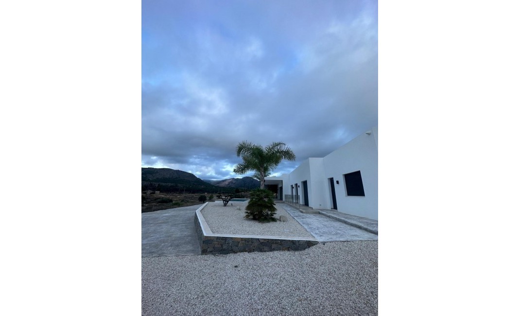 New Build - Villa - Pinoso