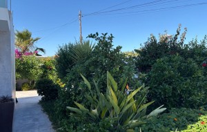 Revente - Villa / House - Torrevieja - La Siesta - El Salado -  Torreta