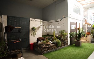 Revente - Apartement - Las Galletas - Santa Cruz de Tenerife