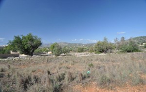 Revente - Plot - Benissa