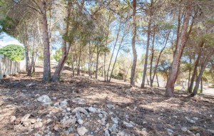 Sale - Plot - Moraira